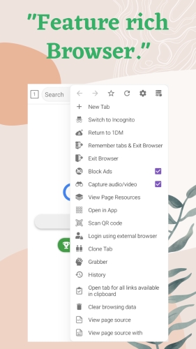 1DM+: Browser & Video Download Mod Apk