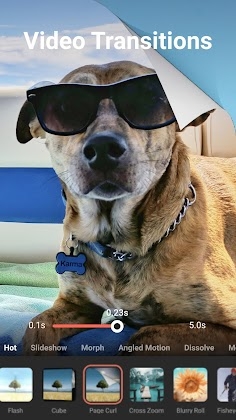 FilmoraGo Video Editor & Maker Mod Apk