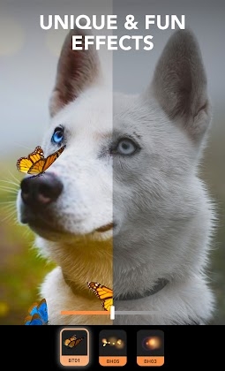 Motionleap by Lightricks Mod Apk