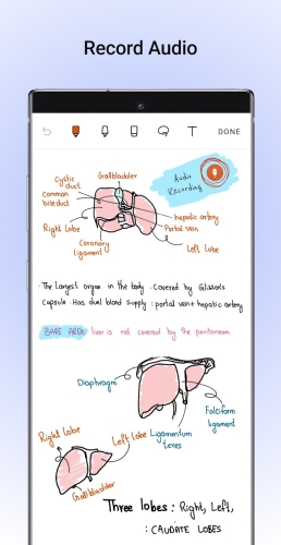 Noteshelf - Notes, Annotations Mod Apk