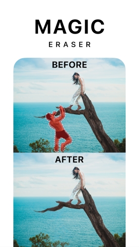Pixelcut AI Photo Editor Mod Apk