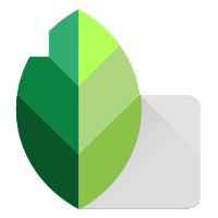 Download Snapseed Mod Apk